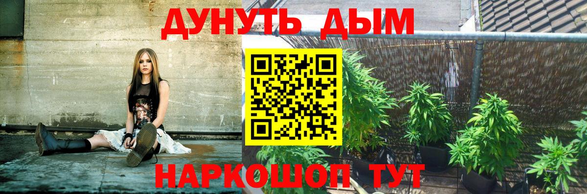 Бошки Шишки OG Kush  Канабис тримм  Губаха  Вход с VPN  Канабис LSD WEED 
